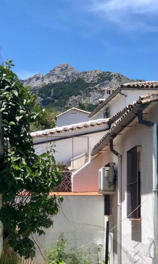 Apartamento La Parra Grazalema Exterior photo