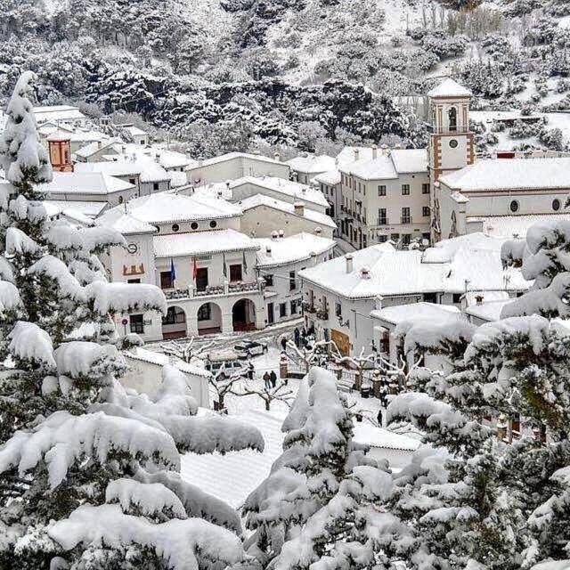Apartamento La Parra Grazalema Exterior photo