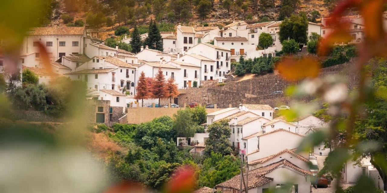 Apartamento La Parra Grazalema Exterior photo